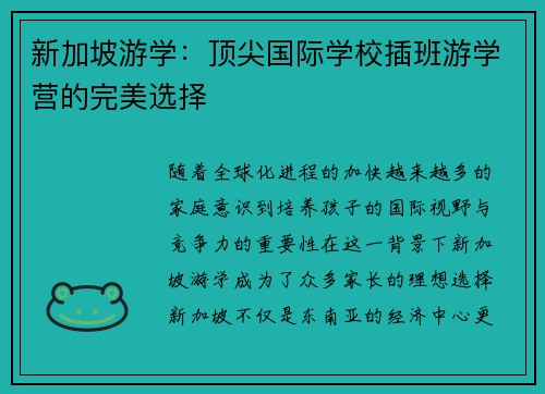 新加坡游学：顶尖国际学校插班游学营的完美选择