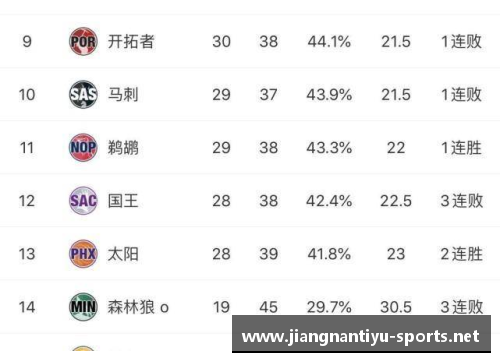 JN江南体育官方网站鹈鹕球迷热议球队发展方向，期待新赛季成功表现